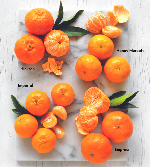 ARE ALL MANDARINS THE SAME?
