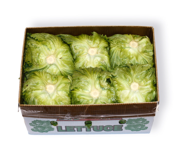BOX BUY Iceberg Lettuce (12 heads in a box)
