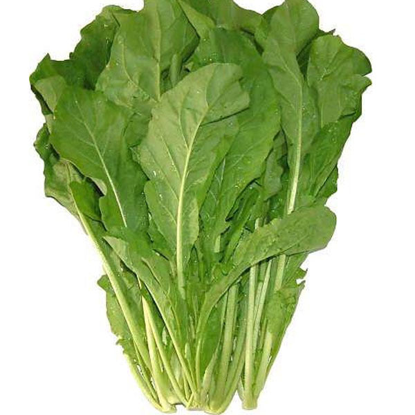 Lettuce Roquette/Rocket (Bunch)