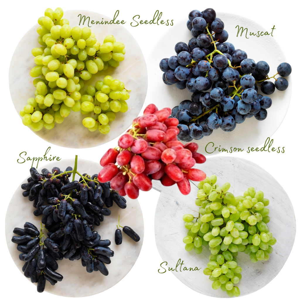 the ultimate guide to grapes