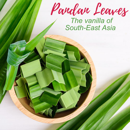 PANDAN LEAVES: THE VANILLA OF SOUTH-EAST ASIA