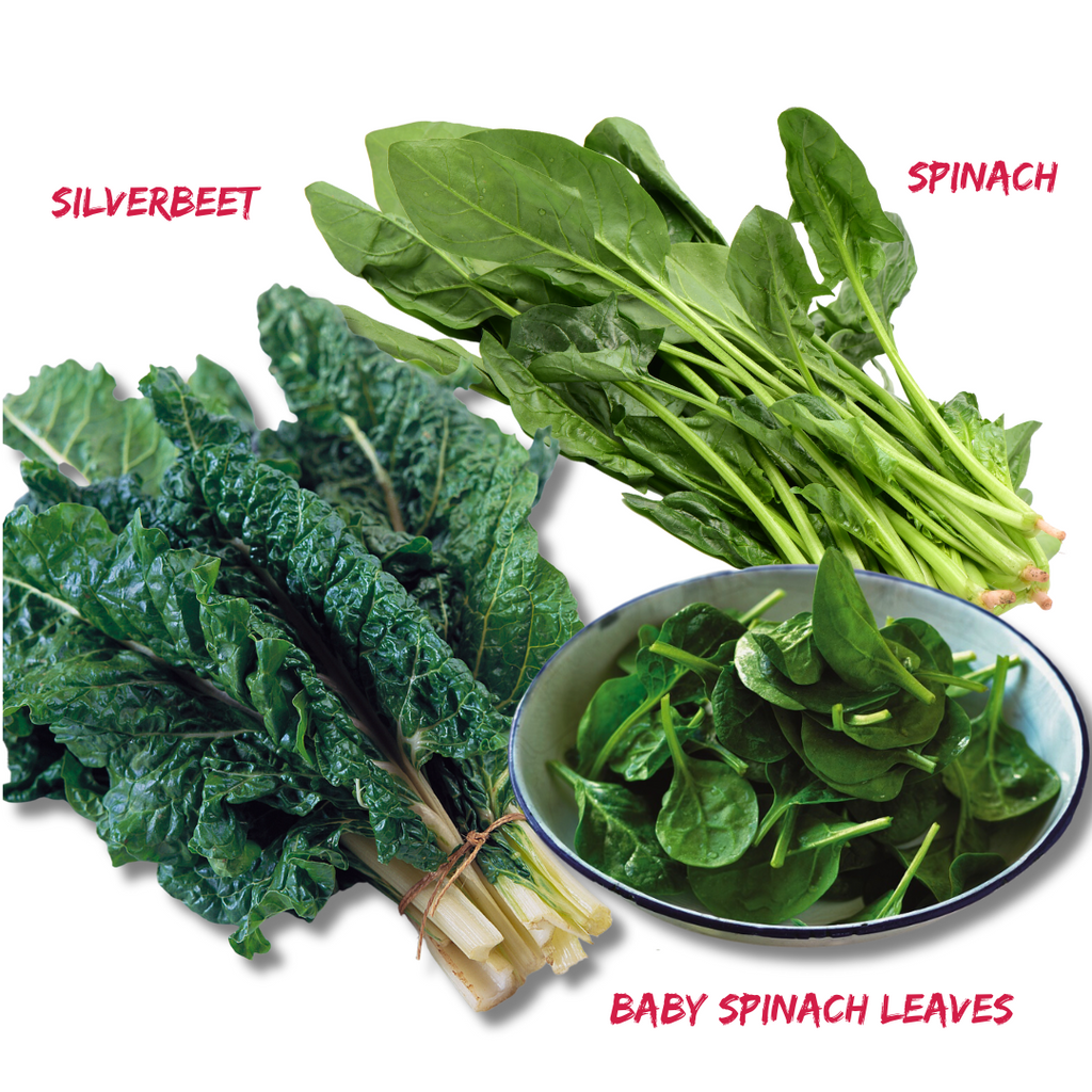 SPINACH VERSUS SILVER BEET, WHICH LEAFY GREEN COMES OUT ON TOP?