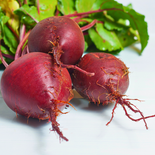 DISCOVER FRESH BEETROOT