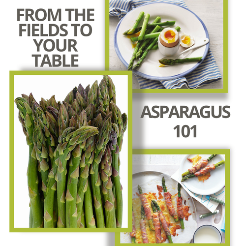 ASPARAGUS 101: FROM THE FIELDS TO YOUR TABLE