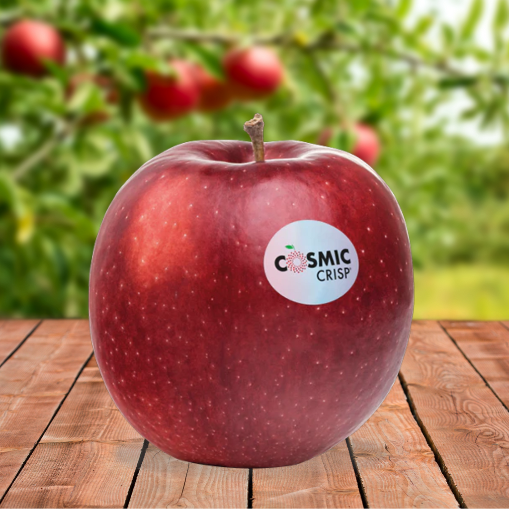 Discover the Magic of Cosmic Crisp Apples!