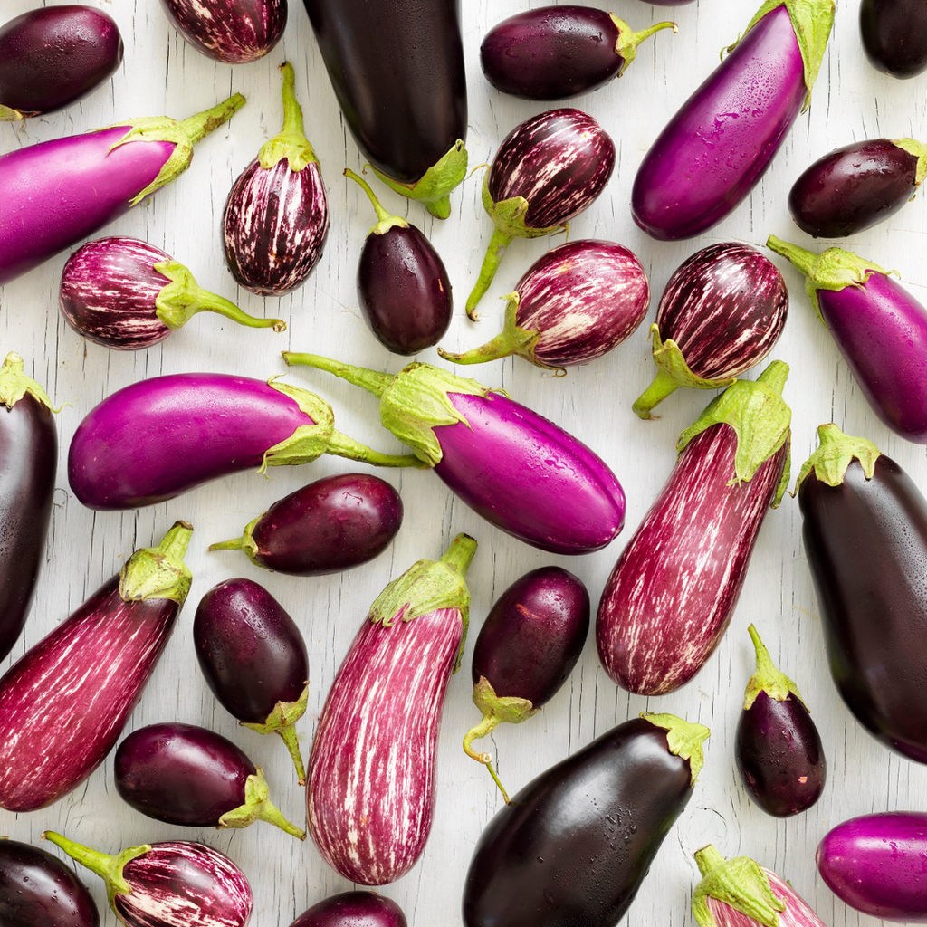 Eggplants - varieties and uses.