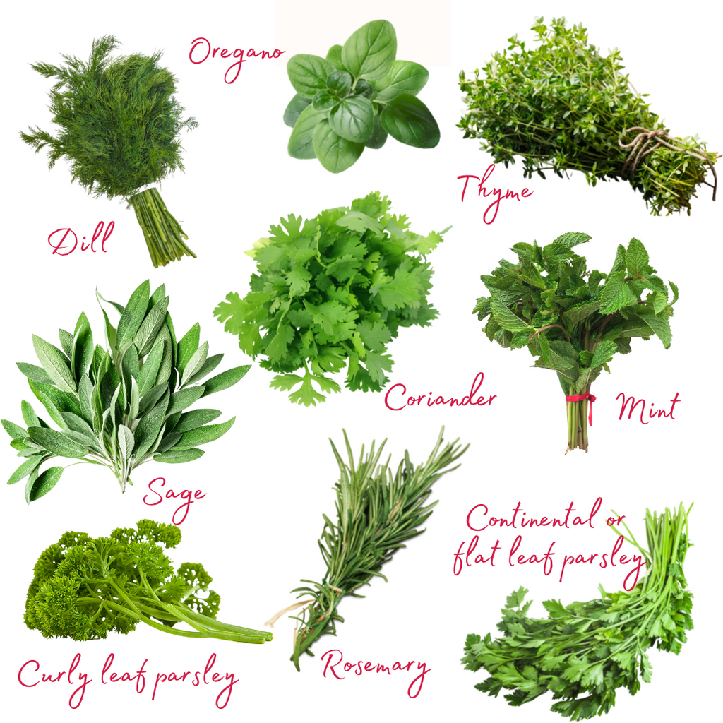 YOUR GUIDE TO USING FRESH HERBS: