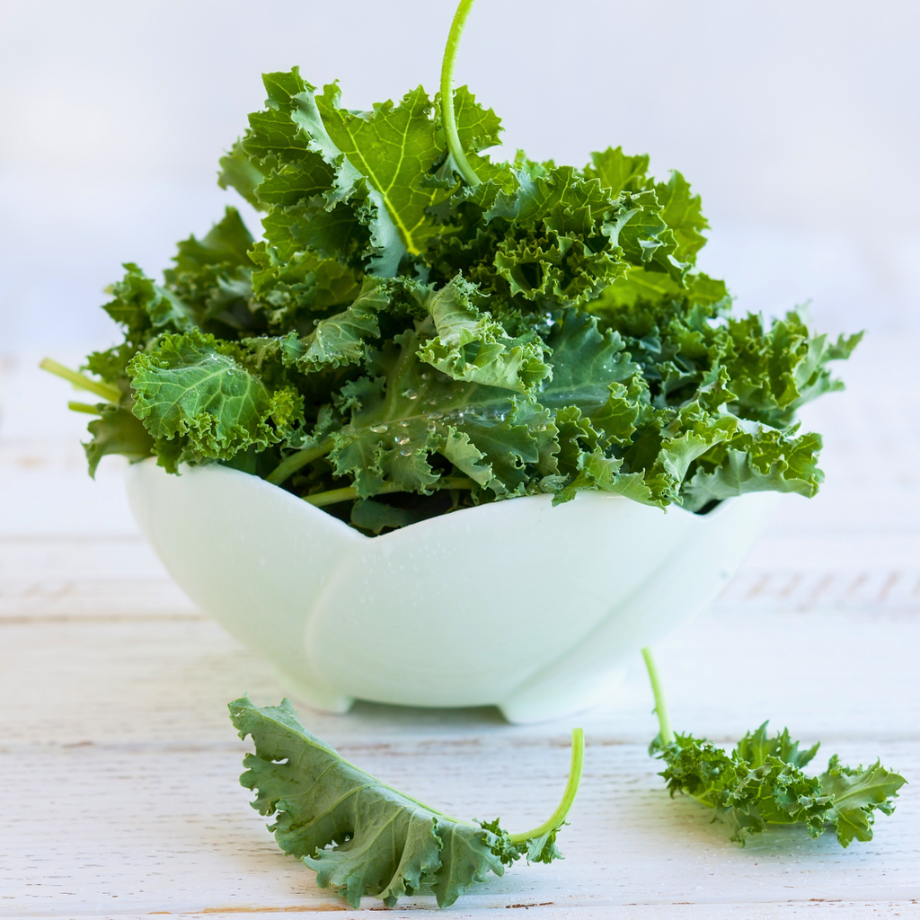 Embrace the Power of Kale: Benefits and Cozy Winter Recipes