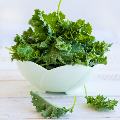 EMBRACE THE POWER OF KALE: BENEFITS AND COZY WINTER RECIPES