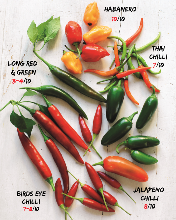 FROM MILD TO WILD KNOW YOUR CHILLIES