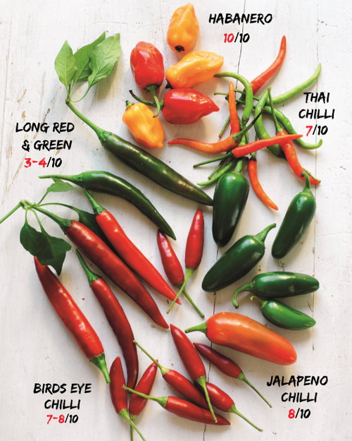 FROM MILD TO WILD - KNOW YOUR CHILLIES