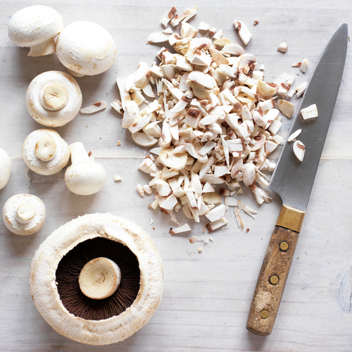 BE ON-TREND WITH MUSHROOM BLENDABILITY