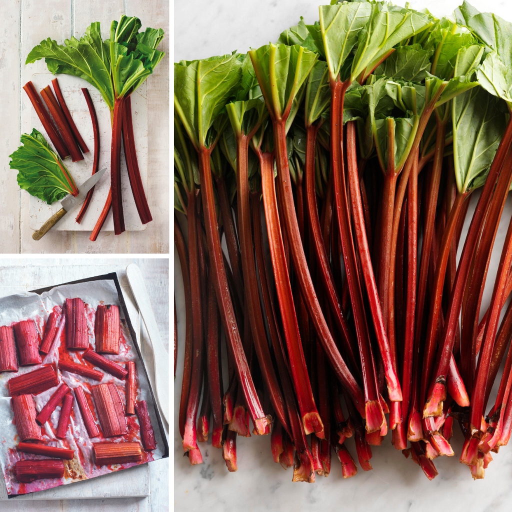 Warm Up with Ruby-Red Rhubarb: Recipes and Tips for the Season