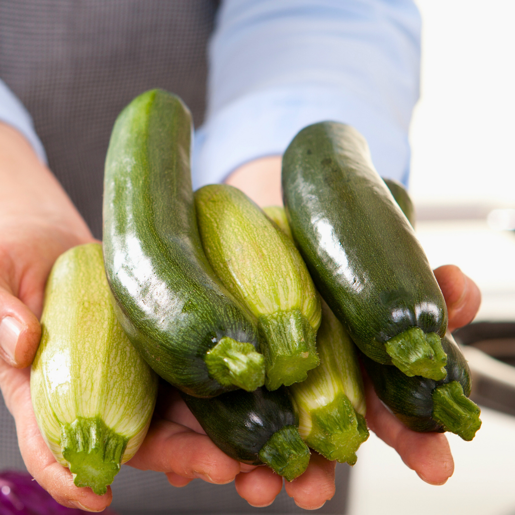 ZUCCHINI: A VERSATILE VEGETABLE FOR EVERY MEAL