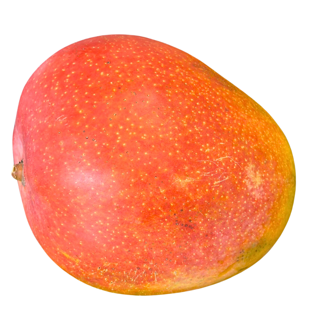 Mango R2E2 special (2 For $10.00 )