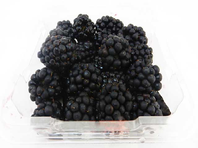 Sydney's best online greengrocer Fresh Blackberries