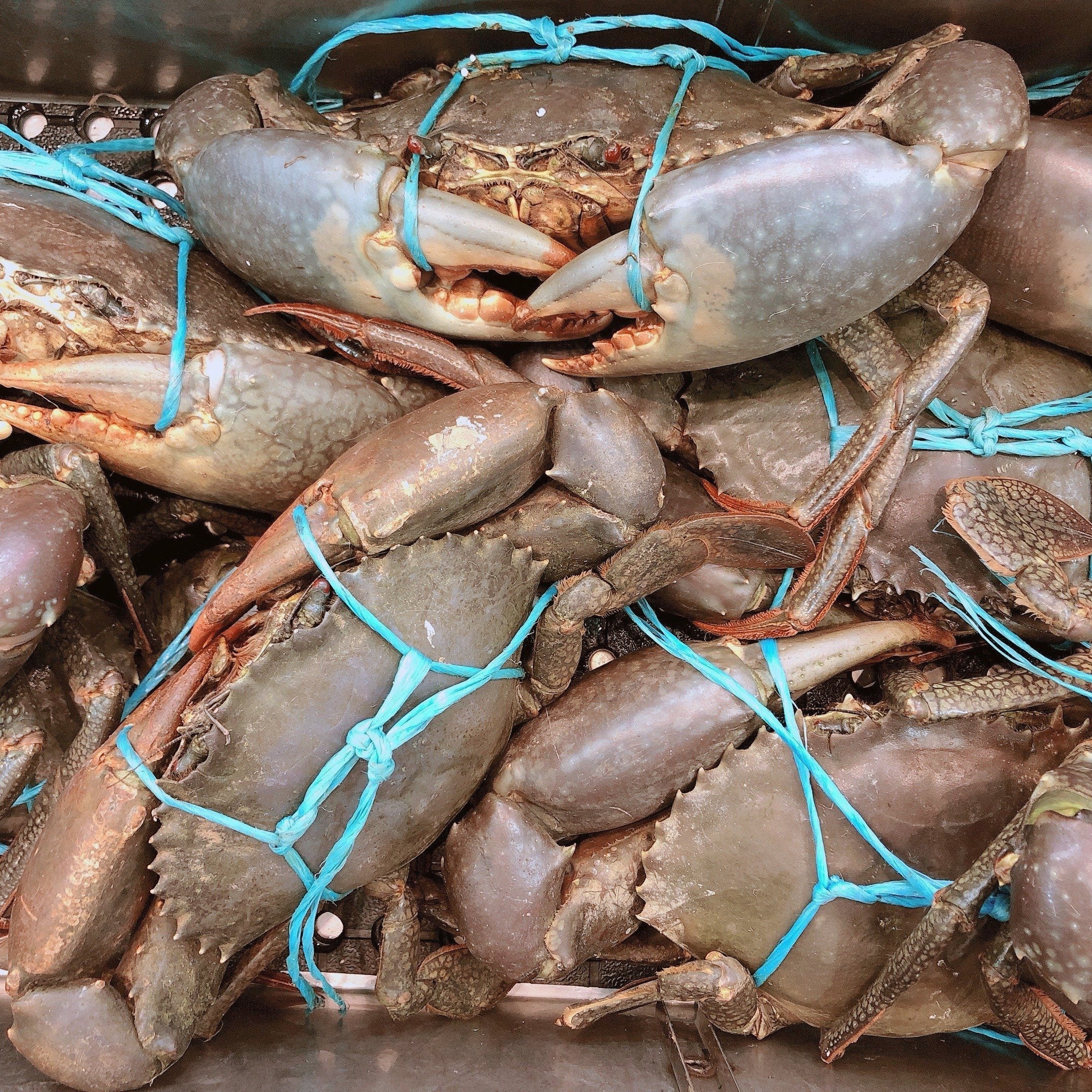 Green Blue Swimmer Crab, Sydney Delivery