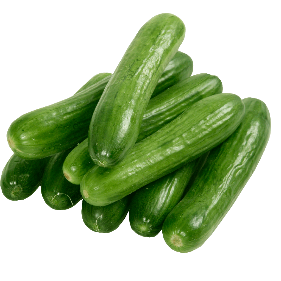 Cucumber Lebanese