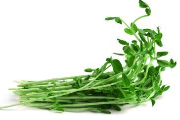 Snow Pea Sprouts (100g Punnet) - Main Image